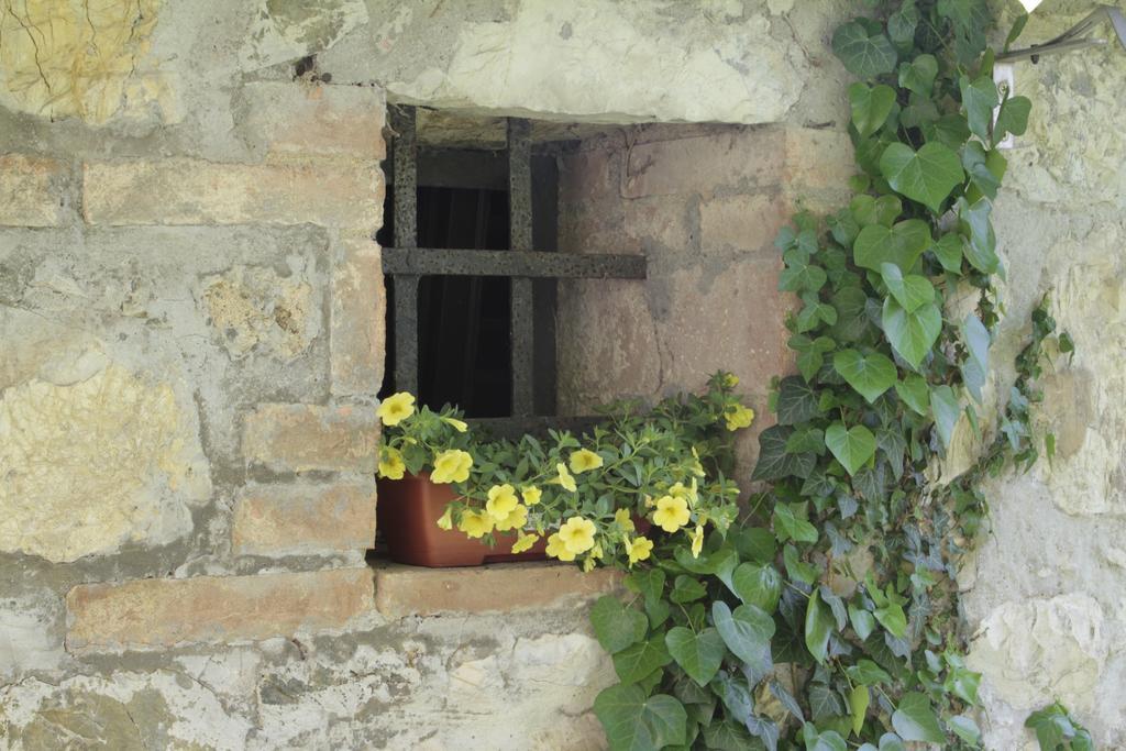 I Pianelli Villa Murlo Buitenkant foto