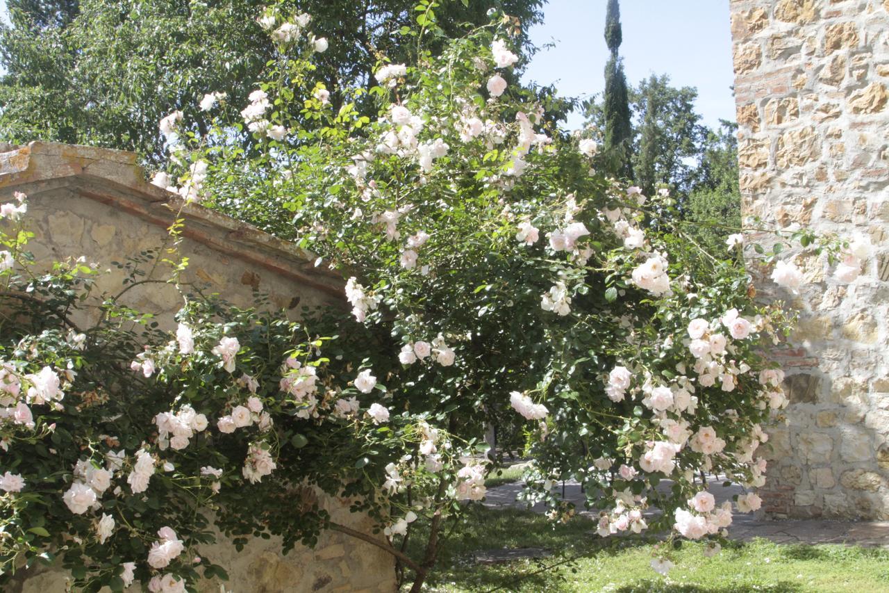 I Pianelli Villa Murlo Buitenkant foto